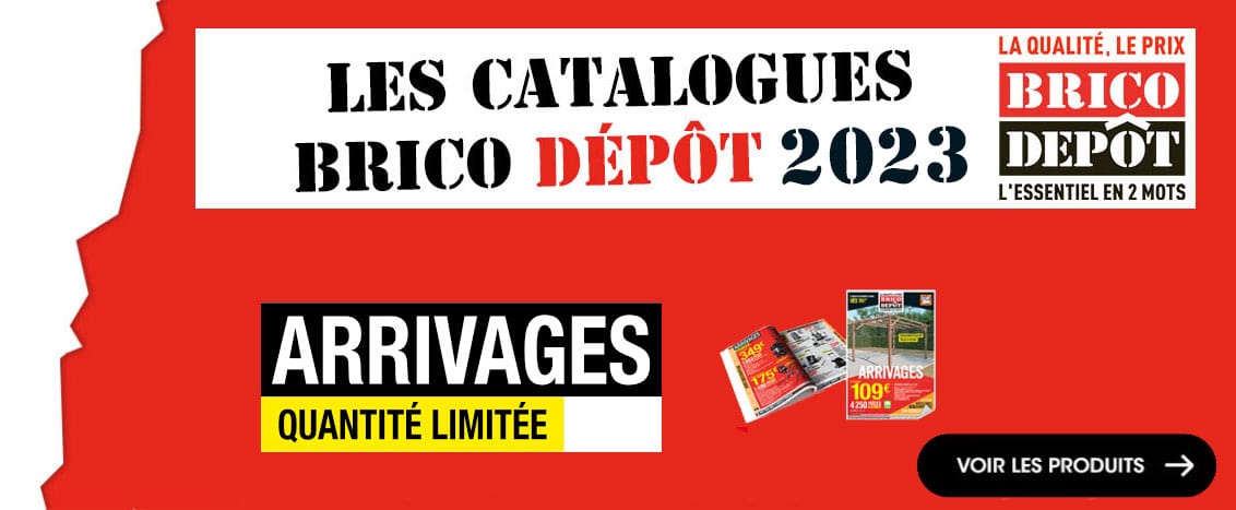 Ringlet meest Snazzy ⋆ Catalogues Brico Depot 2023 - ARRIVAGES BRICO DEPOT ⋆