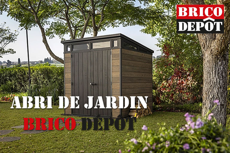 Abri de jardin Brico Dépôt