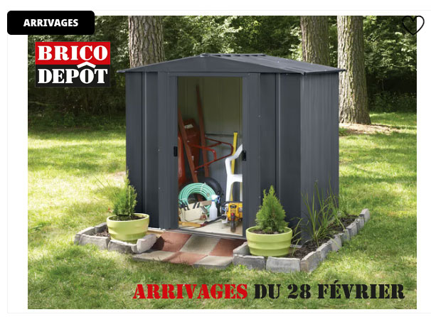 Abri de jardin en métal brico dépôt