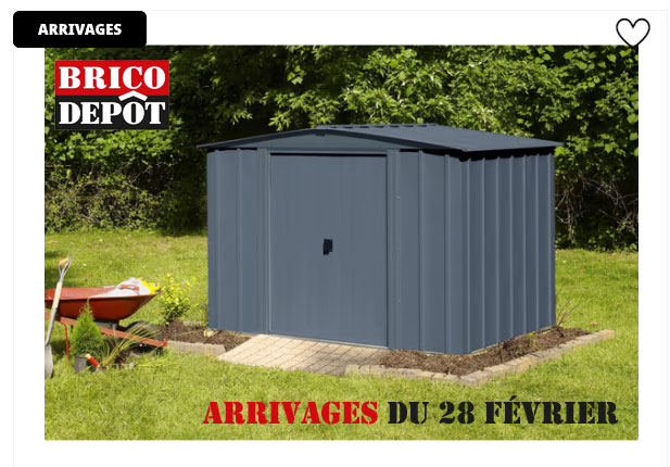 Abri de jardin en acier galvanisé brico dépôt