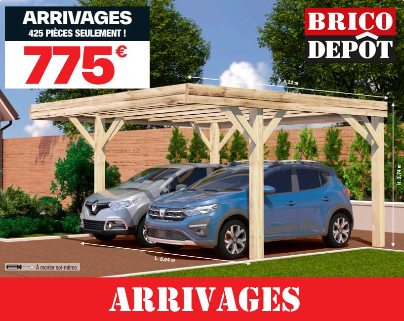 carport brico depot deux voitures
