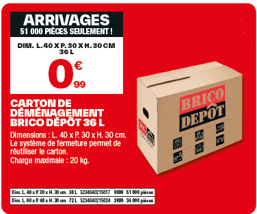 Cartons de déménagement brico dépôt