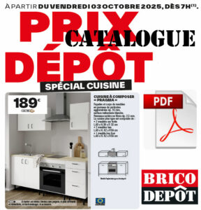 Arrivages cuisines brico dépôt du 03 octobre : des modèles malins et stylés à prix tout doux